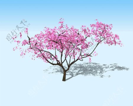 桃树3D模型图片