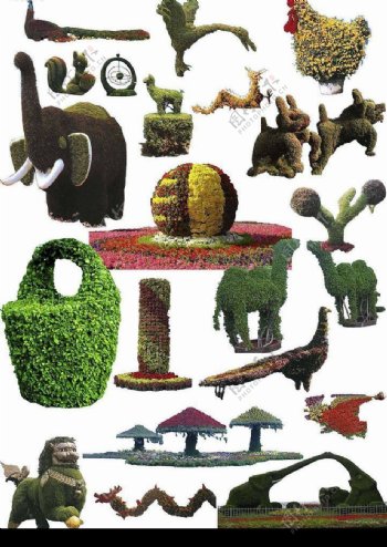 植物雕塑图片