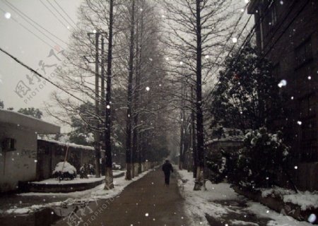 雪地行走乡间小路雪中漫步图片