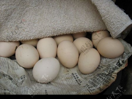 一篮鸡蛋原创摄影图片