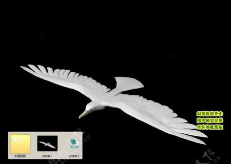 白色鸽子3D三维模型建模图片