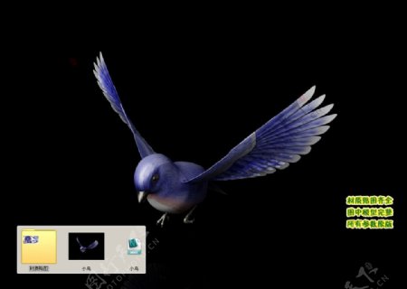 蓝色小鸟3D模型建模图片