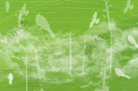 電線與鳥的綠色天空底紋图片