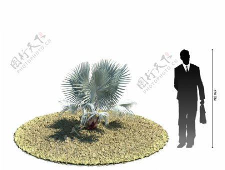 3D植物模型图片
