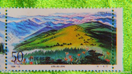 武夷山高山草甸图片