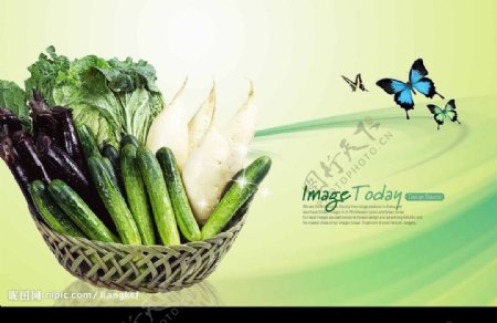高清晰蔬菜青瓜分层PSD源文件图片
