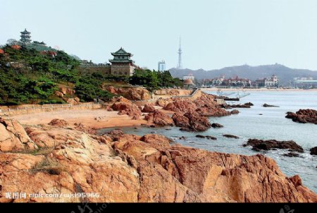 青岛水族馆图片