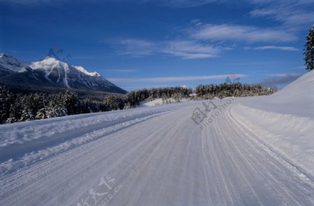 道路冬天雪路图片