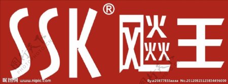 SSK飚王标志图片