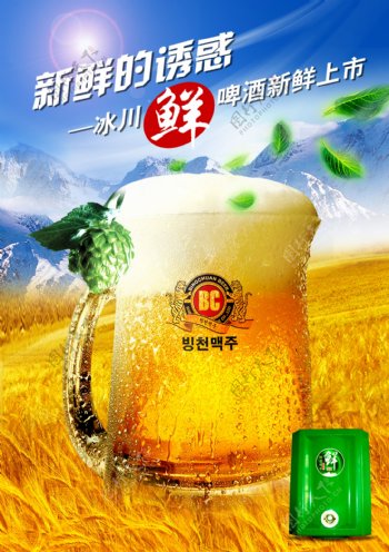 冰川啤酒广告图片