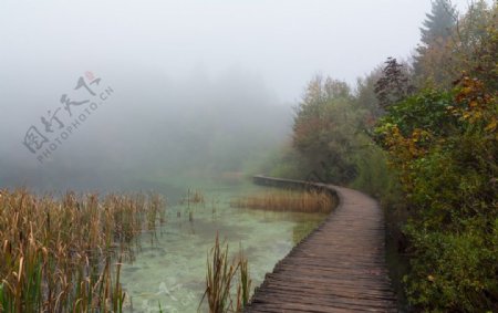 雾中的湖泊木桥走廊风景图片
