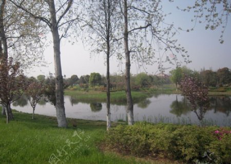 太湖湿地图片