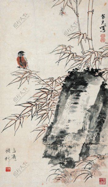 竹石小鸟图片