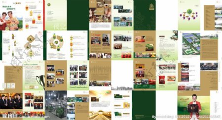 金浩茶油2012企业宣传画册图片
