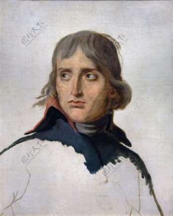 油画拿破仑图片