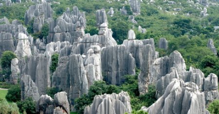 中国昆明石林图片