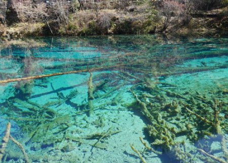 九寨沟山水图片