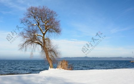 冬季海湾雪景风光图片