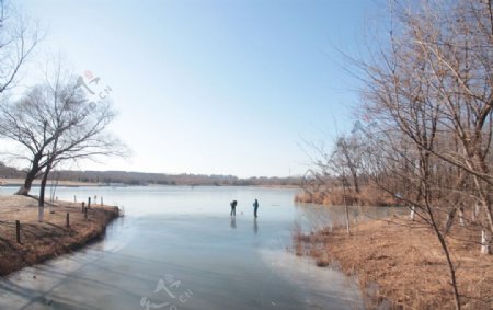 冬日的湖面图片