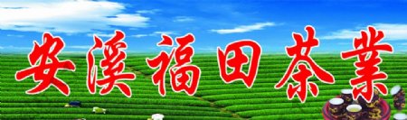 安溪茶业图片