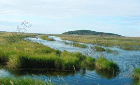 北海湿地图片