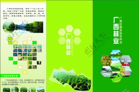 广西林业折页图片