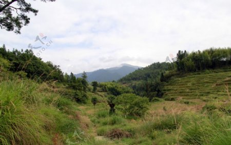 绿色农村山景图片