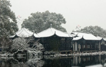 西湖雪景三潭印月图片