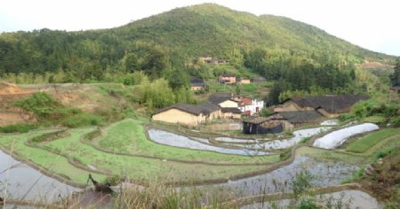 武夷山村庄图片