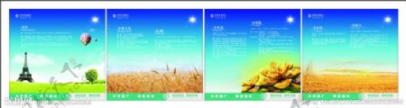 中国农业银行年册设计图片