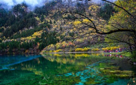 九寨沟五花海图片