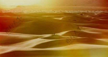 广袤沙漠图片