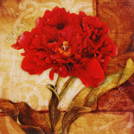 手绘欧式花卉背景油画图片