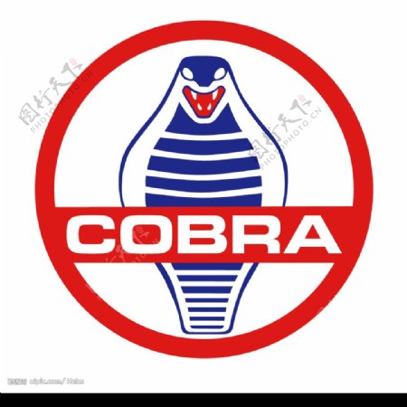 Cobra蝰蛇图片