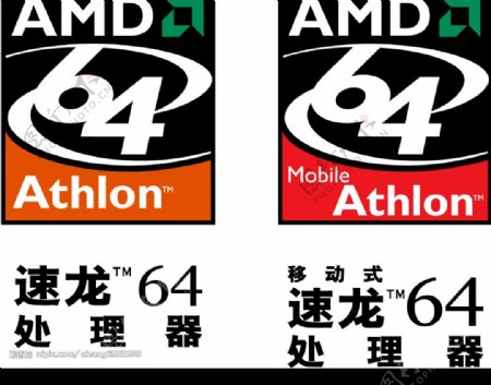AMD处理器图片