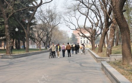 清华大学教堂校园图片