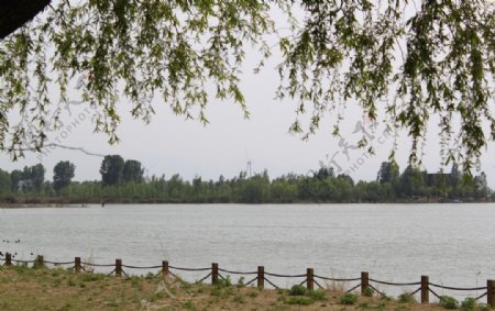 野鸭湖湿地公园图片