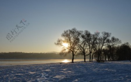 吉林雪地夕阳图片