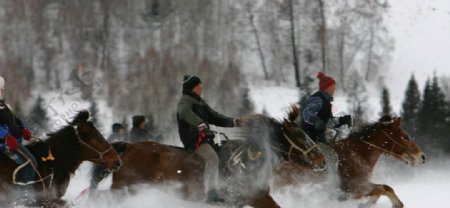 冬季牧民图片
