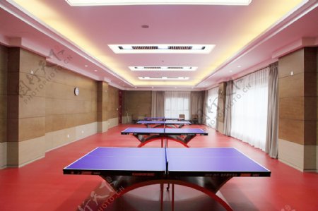 酒店乒乓球室图片