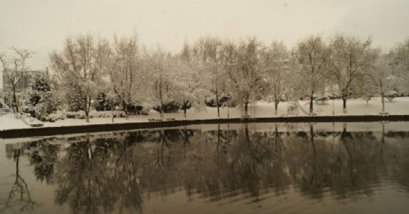 雪景图片