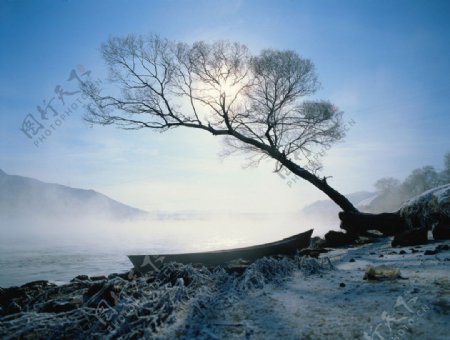 吉林风景晨曦时的雾图片