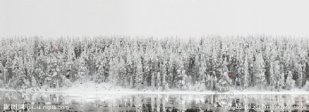 雪景图片