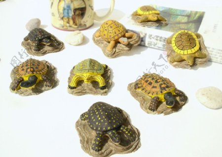 一群小海龟图片