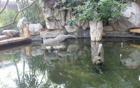 公园喷水池图片