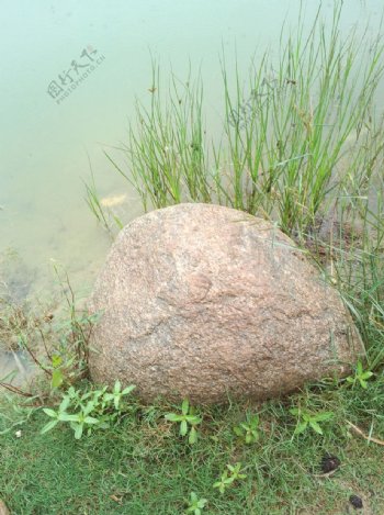 海草湖水石头图片