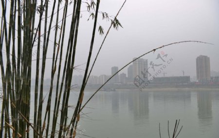 水雾笼罩的城市图片