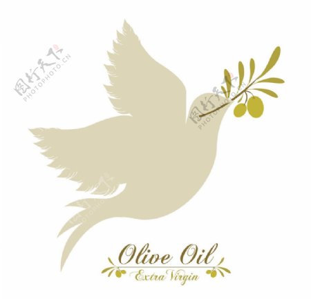 橄榄油商标图片