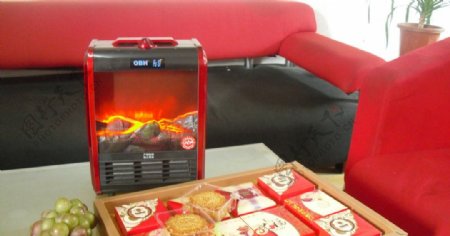 欧壁火壁炉取暖器图片