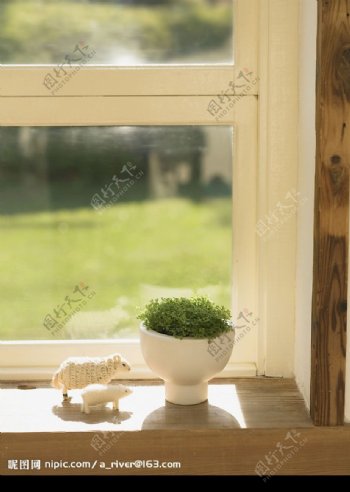 窗台绿化图片